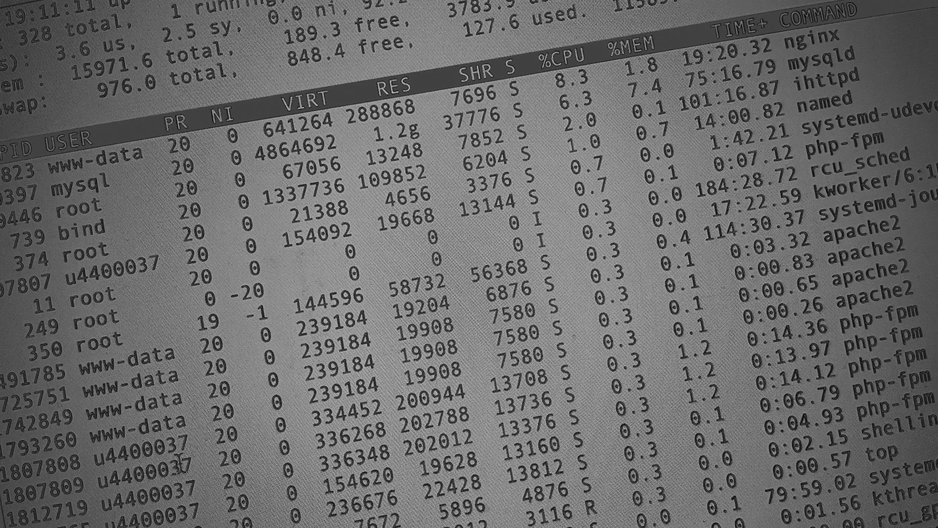 Настройка сервера в Бирске