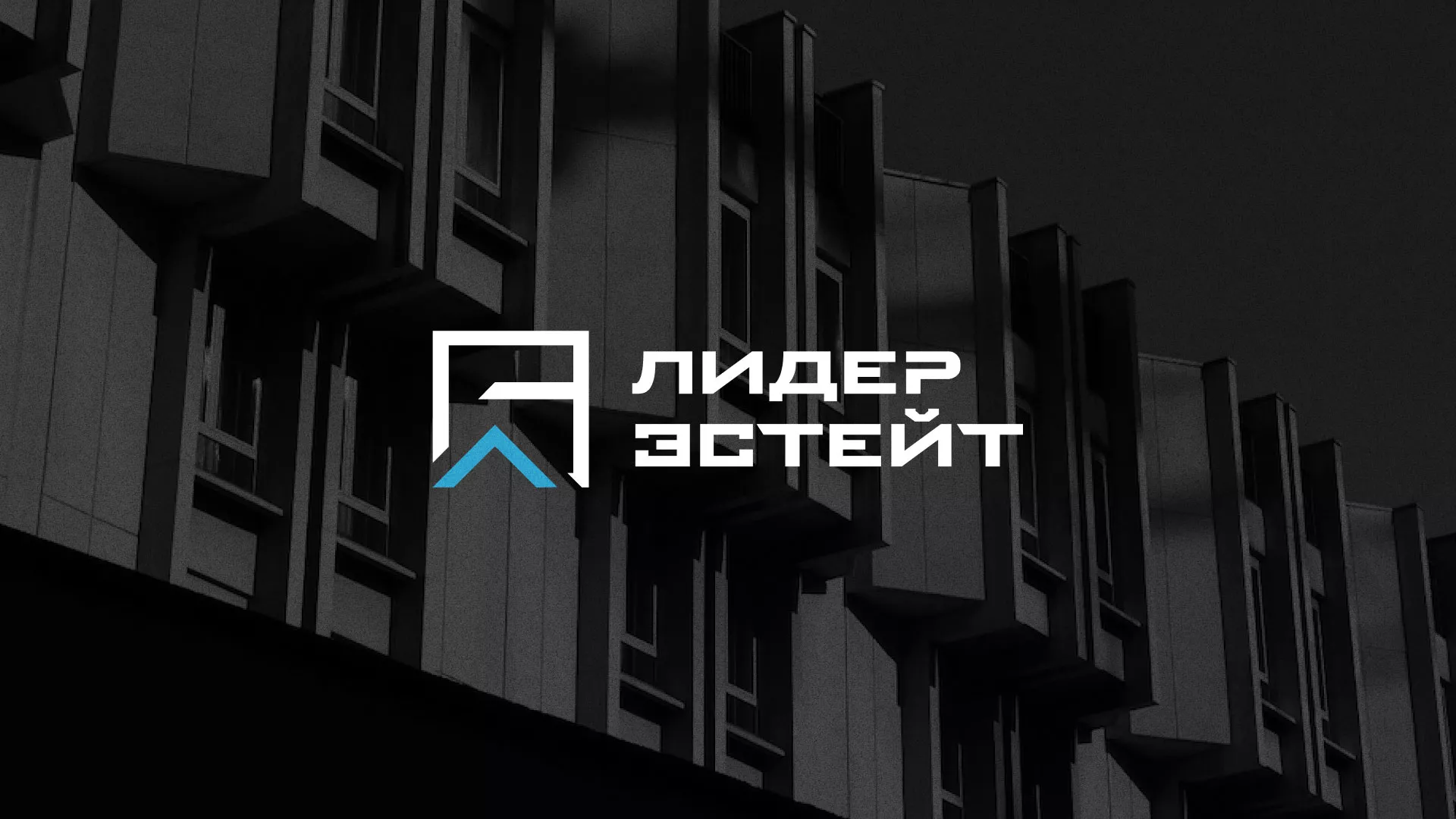 Разработка логотипа агентства недвижимости «Лидер Эстейт» в Бирске